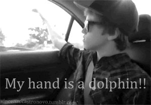 my hand is a dolphin gifs | WiffleGif