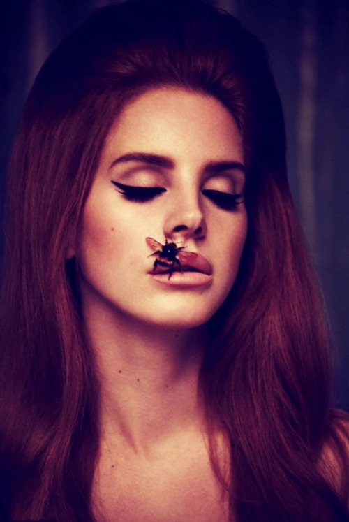 Lana Del Rey Bee Lips