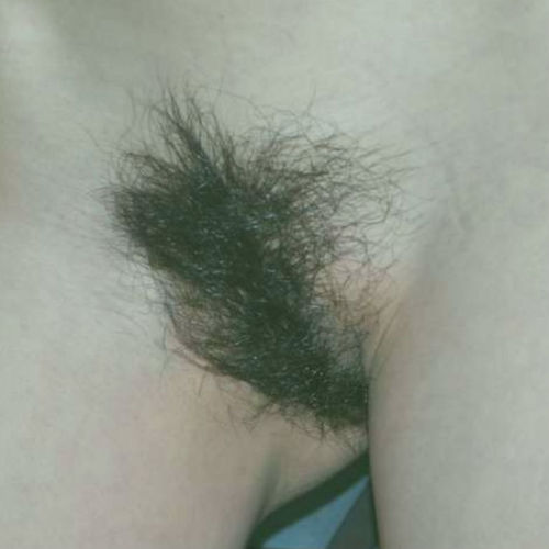 Pubic Hairy Pussy 95