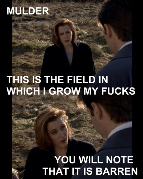 Scully's field has no fucks