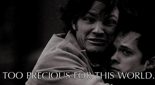 SPNG Tags: Sam Winchester / Ladies and Gentlemen / TOO PRECIOUS FOR THIS WORLD / hugging / hugs
Looking for a particular Supernatural reaction gif? This blog organizes them so you don’t have to spend hours hunting them down.