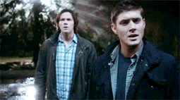 SPNG Tags: Dean Winchester / BAM / Deal with it
Looking for a particular Supernatural reaction gif? This blog organizes them so you don’t have to spend hours hunting them down.