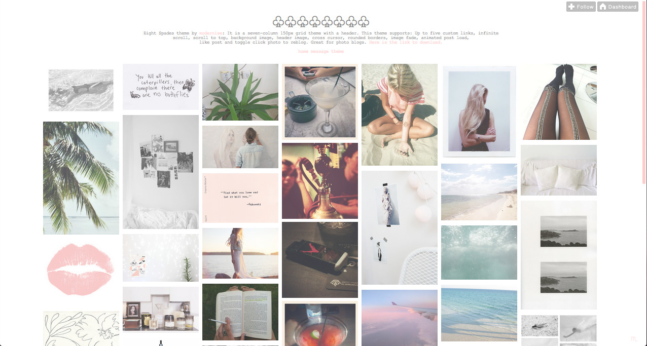 themes tumblr Themes Gallery Tumblr  Viewing Gold