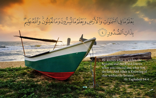 Beautiful Designs with Islamic Quotes