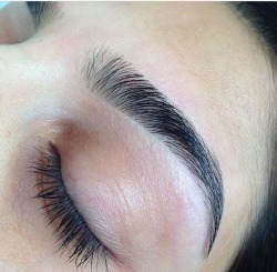 flumily:  jugodechinola:  Brow porn alert. Brow porn alert. Brow porn alert. Look at the fullness Look at that arch So clean   eyebrow game strong