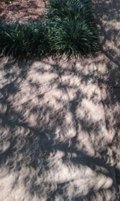 cometcrystal:eclipse shadow pictures! theyre stunning irl