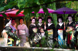 okiya:  Gion, at Hassaku (Kyoto) / 祇園・八朔（京都） (by Kaoru Honda) Maiko Shouko, Geiko Sayoko, Geiko Suzuko, Maiko Ayako, Maiko Chisako, Geiko Yukako, Geiko Sakiko, Maiko Chiyoko - Gion Kobu *Hassaku 2013* 