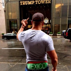 bigthickchubbydick:  Very creative way to express your feelings about this (expletive) member of particular party/group he is representing.   This picture is worth a thousand words. 
