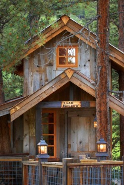 utwo:  Colorado Treehouse© vc moss