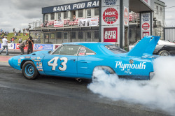 ohboywhataday1:  taylormademadman: Plymouth Superbird at Mopar EuroNats Check Out My Archives for High Definition,Muscle Cars,Hotrods,Ratrods,Kustoms,Trucks,Motorcycles,Abandoned Vehicles,Trains,Animals,etc.♠🇨🇦♠( ͡° ͜ʖ   Smoke, if ya’