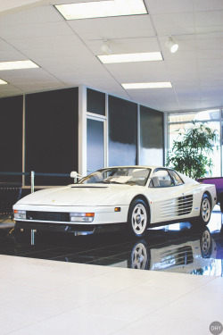 supercars-photography:  “I want a white ferrari just like in Miami Vice” - The Wolf of Wall Street (Jordan Belfort) 