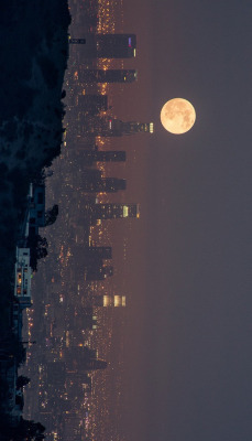 brookbooh: L.A. Moon