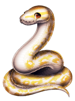 furvilla:  Reptiles! Albino Ball Python, Corn Snake, Ball Python, Milksnake, King Cobra, Arizona Whiptail, Collared Lizard, Bearded Dragon 