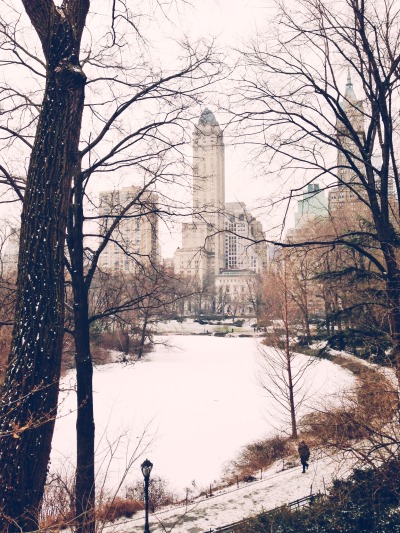 photomelissa: Central Park + snow = perfect. 
