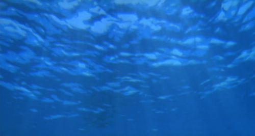 365filmsbyauroranocte:    August in the Water (Sogo Ishii, 1995)  