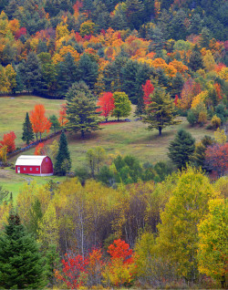 metamorpho-se:  Amongst The Hillside - Vermont By Kevin Mcneal 