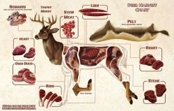 crossbow-hunter:  Get the most from your hunt. YUMMY 