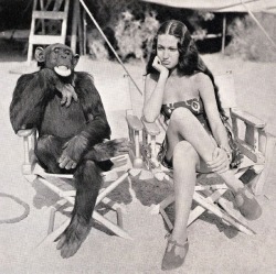 “Jiggs” the chimpanzee, on the movie set of  “Her Jungle Love” with Dorothy Lamour, 1938.