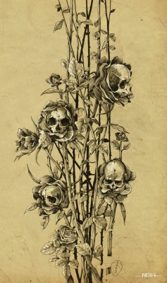 madness-and-gods:  skull roses by Noia illustration, via Behance