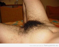 hairypornis:  more HAIRY PUSSIES and BUSH porn at http://hairy.pornis.eu