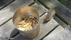 sizvideos:  How to catch a chipmunk -Video  *files that away*  If there&rsquo;s ever an apocalypse I will now never run out of chipmunk kebobs.