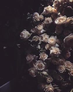 andantegrazioso:  Roses of my darkness |  poppiesandlaceflowers  