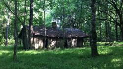 abandonedandurbex:   Abandoned house on my grandfather’s land, Louisiana [1136x640] Source: https://www.reddit.com/r/AbandonedPorn/comments/53ls2s/oc_abandoned_house_on_my_grandfathers_land/ 