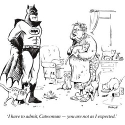 #batman #catwoman #dccomics