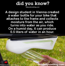 did-you-kno:  A design student in Vienna created a water bottle for your bike that attaches to the frame and collects moisture from the air, which turns into water as you ride. On a humid day, it can produce 0.5 liters of water in an hour. Source