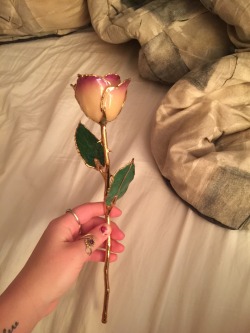little-sub-princess:  My Christmas present from eric I cried so much when I got it its so beautiful  It’s a real rose with 24k gold it’s called a forever rose💕 it’s so perfect and he’s perfect. Couldn’t have asked for a better gift. Thank