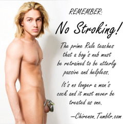 chirenon:Remember the No Stroking Rule, boys, even when you’re unlocked.