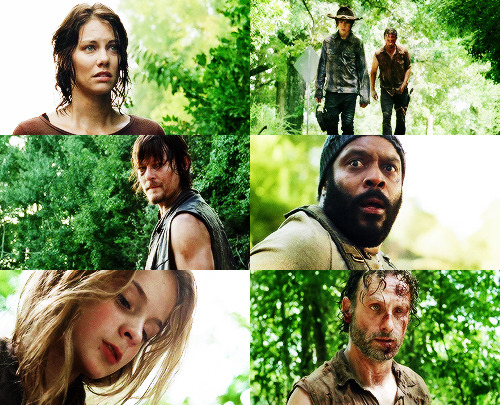 The Walking Dead - Page 10 Tumblr_n0gbhs1C611qkpdbxo1_500