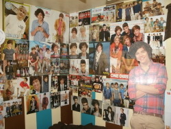 mintyfresh-tilly:  justanother-teenagescrewup:  gay-undertones:  gay-undertones:  So my sister’s out for the day and my sister’s room is completely covered in One Direction posters So I thought “why not cut out 350 shrek faces  aND MAKE EVERYTHING