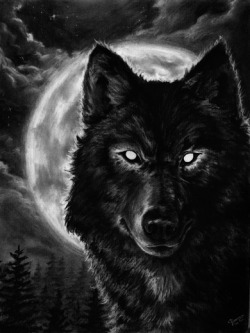  Night Wolf by ~kalessaradan 