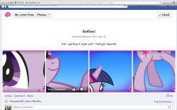 underpony:  scootasam:  bless the official my little pony facebook page   