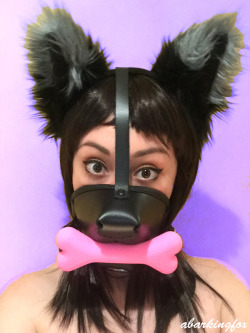 restrainlove:  abarkingfox:  Gagged, Muzzled Fox.Thanks to bdsmgeek ( bdsmgeekshop ) for the adorable, pink bone gag! Purchase this gag and much more at their store, here !  😍
