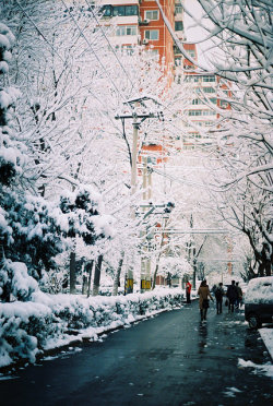 ileftmyheartintokyo:  untitled by 彌張 on Flickr.
