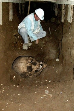 This giant skull was discovered in the India Desert in an area called the Empty Quarter.  More info available @ http://www.hoax-slayer.com/giant-skeleton.html