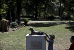 congenitaldisease:  This is a statue to commemorate a brave little dog by the name of Leo, who died while saving a little 10-year-old girl who was being attacked by a much larger dog. Leo witnessed the little girl being pinned to the ground by the dog