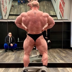 needsize:  Crazy thick back and ass. Damn!James Hollingshead