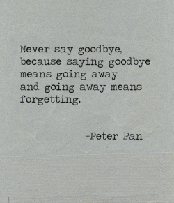 Never say  goodbye&hellip;