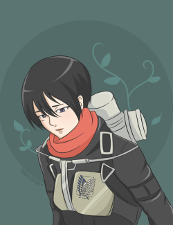 sookashira: Happy damn New Gear | Mikasa 101  ♡  