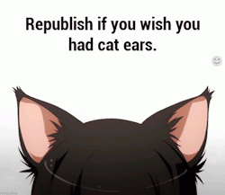 countii:  slavefoxie:  ask-theimmortal-cross:  wolf-and-kitten:  pughz32:  I want them!!!a  UGH FUCK LIKE YOU DON’T EVEN KNOW  Ummm….I’m a boy….but still…  more like fox ears but still :P  baby-gizz 