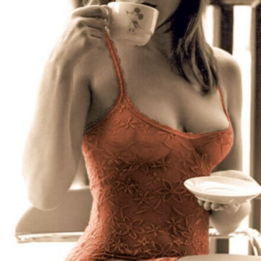 coffee-with-a-view: Jamais se esqueça, maridão: comprar lingerie com frequência para sua linda esposa é uma obrigação sua. É a cornitude 