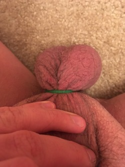 sissyeliza85: Banding my balls.   Going for an endurance run. I know this one won’t be long as I am new to this sort of play.   Like/reblog for encouragement.   Going to do this every so often and try to beat my record each time. 