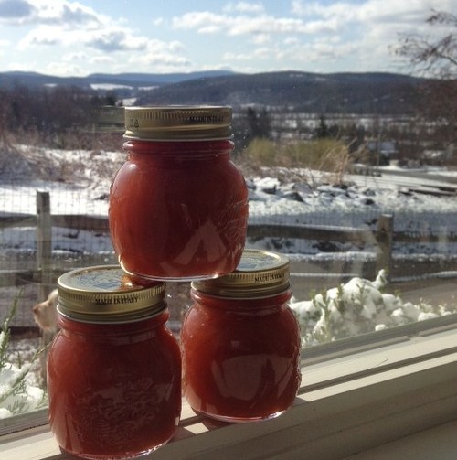 rhubarb preserve from local, small batch jam, jelly, and preserve maker  les collines