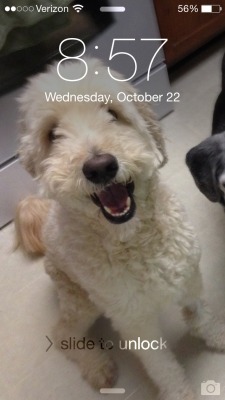 Changed my lock screen and it&rsquo;s so wonderful :D  Best decision ever