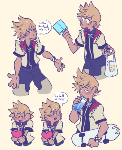 ldefix:I will die for Roxas Kingdomhearts