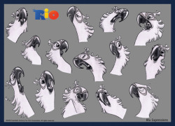 falvie:  jackthevulture:  princeowl:  the concept art from rio has some really good references for drawing/animating cartoony birds….the expressions are great, expressions are so hard to do with birds   I loved Rios take on stylizing birds. Theyre