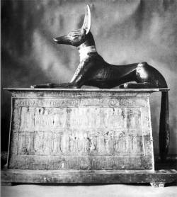 totenbuch:  The portable Anubis jackal shrine of Tutankhamun.